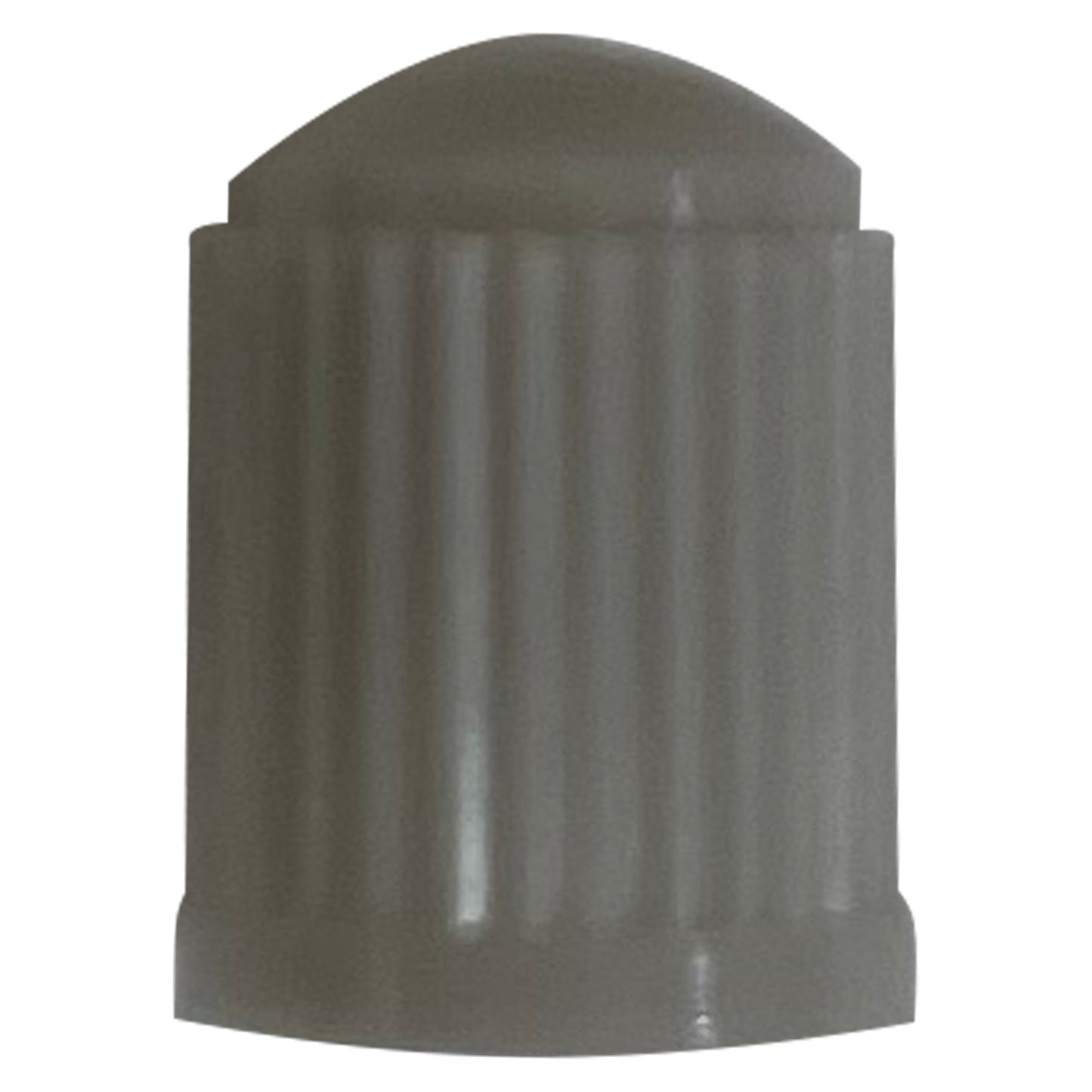 100 Pack of Gray Plastic Tire Valve Cap