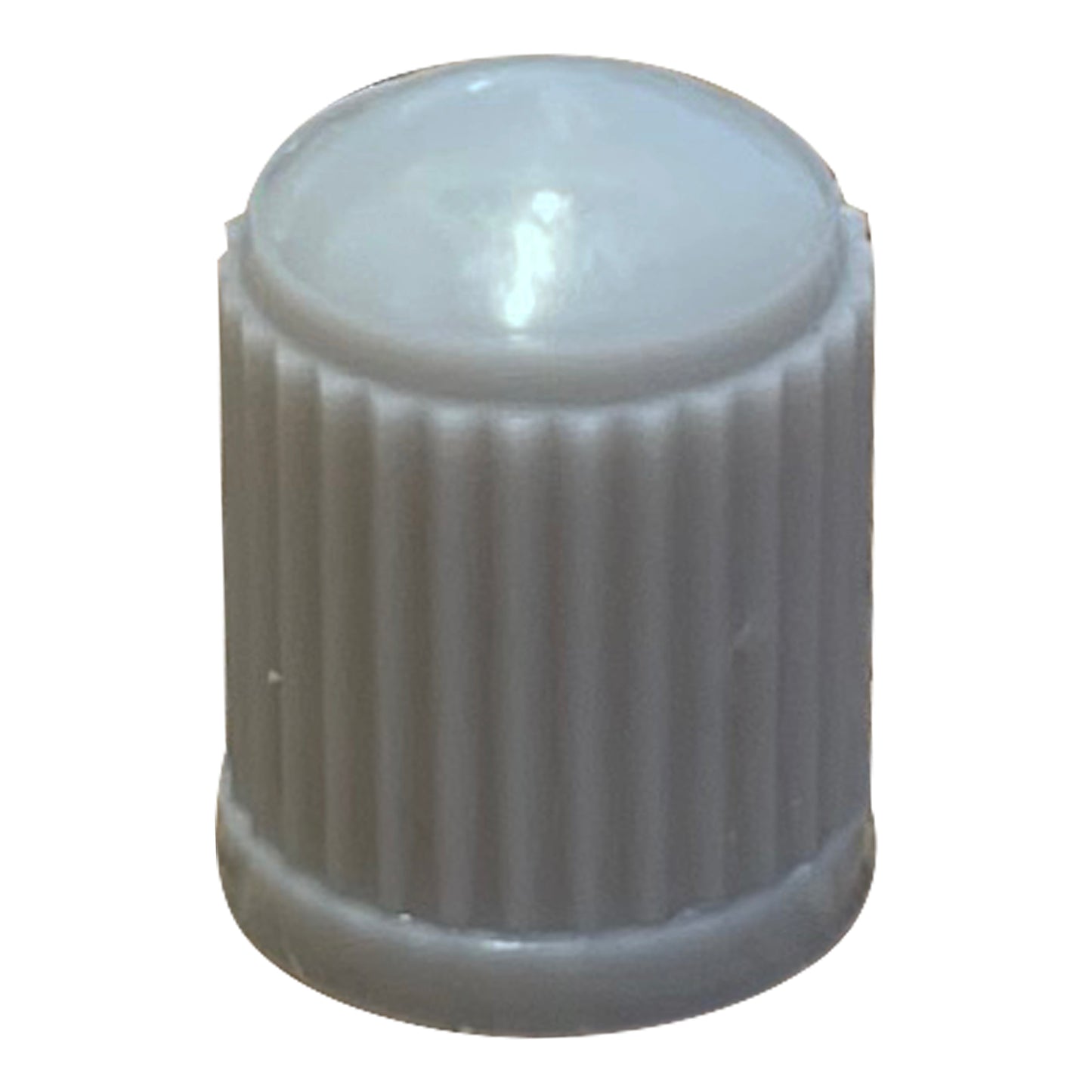 100 Pack of Gray Plastic Tire Valve Cap