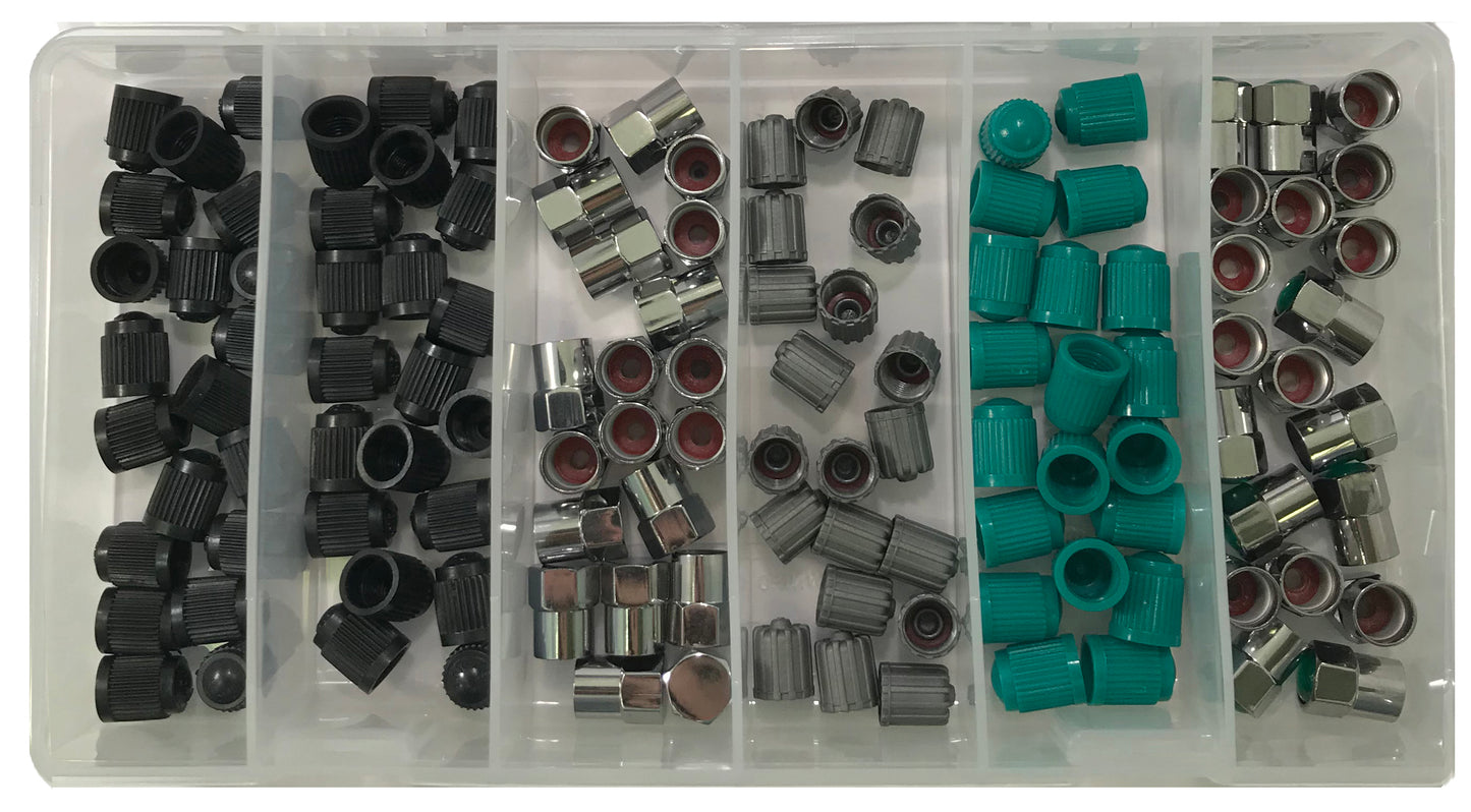 120 Piece Tire Valve Stem Cap Assortment Kit