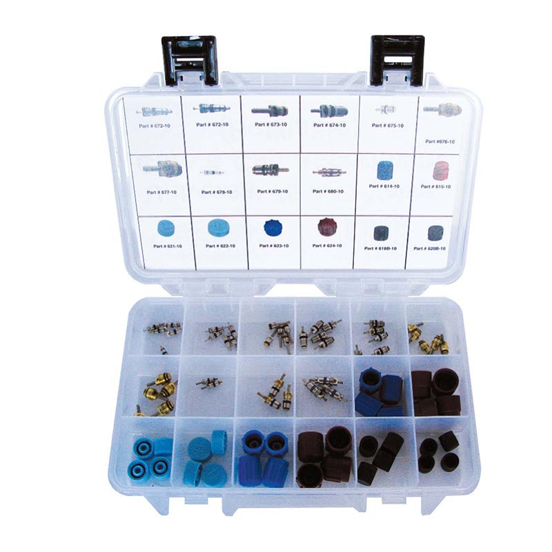 Universal 76 A/C Valve Core & Cap Assortment Air Conditioning Kit