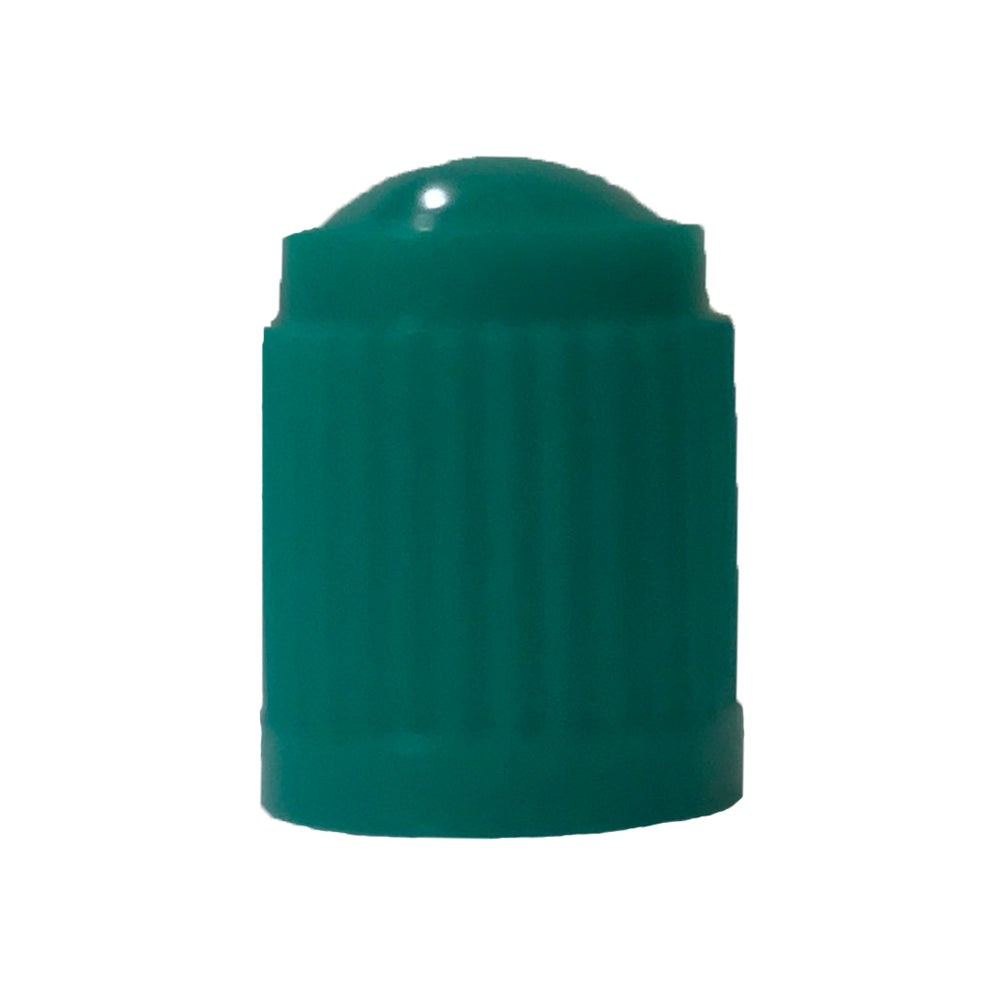 120 Piece Tire Valve Stem Cap Assortment Kit