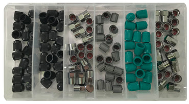 120 Piece Tire Valve Stem Cap Assortment Kit