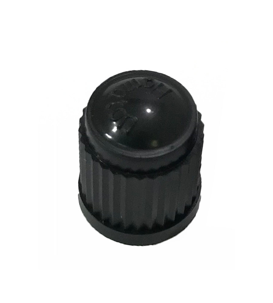 120 Piece Tire Valve Stem Cap Assortment Kit