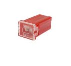 Mini Female Pal Fuses 50 amp