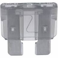 ATC / ATO Automotive Blade Fuse - 2 Amp - 50 Pack